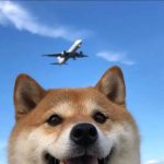 玄烨的头像-玄烨技术开发分享